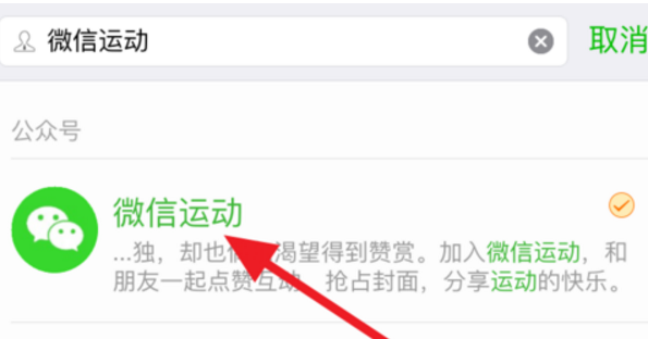 微信步数排行榜揭秘，巷弄深处的神秘小店，步步惊喜探险之旅
