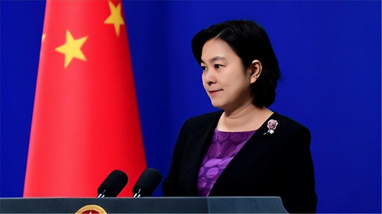 最新军演报道，小巷深处的军事迷乐园与特色小店的独特魅力