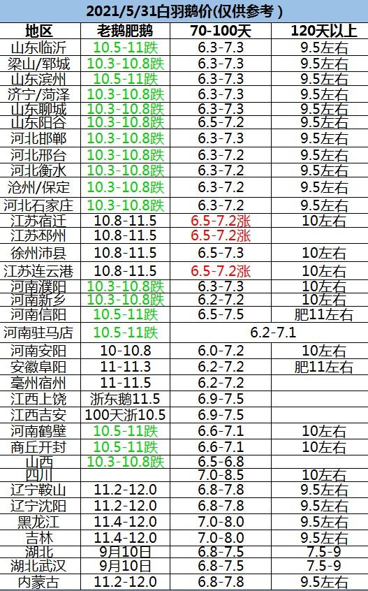 大鹅价格最新行情动态更新📈