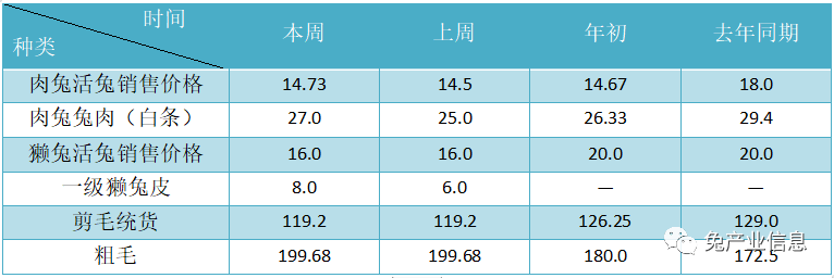 獭兔价格最新行情揭秘，温情故事在兔子洞展开