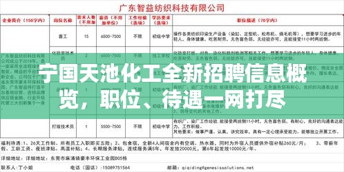 宁国白班最新招聘信息，职业繁荣与机遇在时代背景下的展现