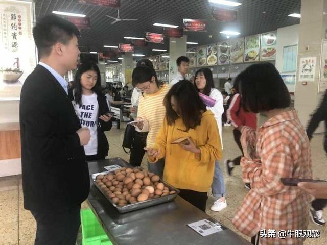 河南洛阳鸡蛋最新价格及分析