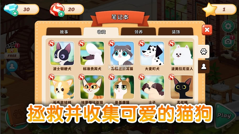 哈啰萌宠开心屋，探索宠物世界的最新乐园