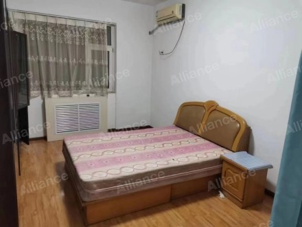 清丰租房最新信息网,一站式解决您的租房需求